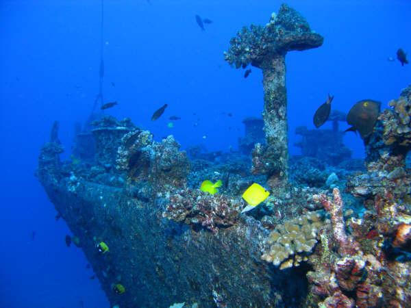 Mahi wreck. Oahu, HI. 12/17/08