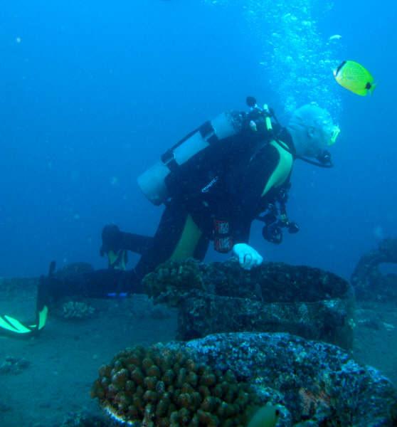 Me on the Mahi wreck. Oahu, HI 12/17/08