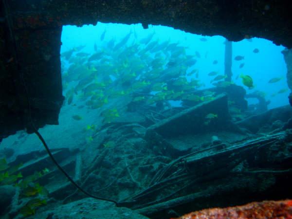 Mahi wreck. Oahu, HI. 12/17/08