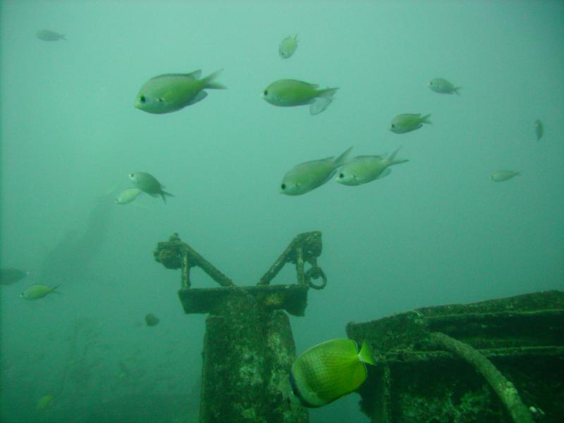 LCD wreck. Oahu, HI. 12/17/08