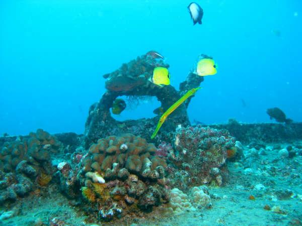 LCD wreck. Oahu, HI. 12/17/08