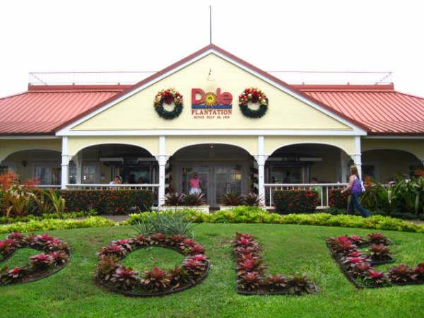 Dole Plantation. Oahu, HI. 12/20/08.