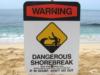 Northshore beach warning, Oahu, HI. 12/20/08.