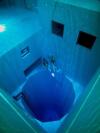 Nemo 33