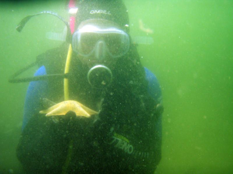 My Brother in Cloudy Monterey