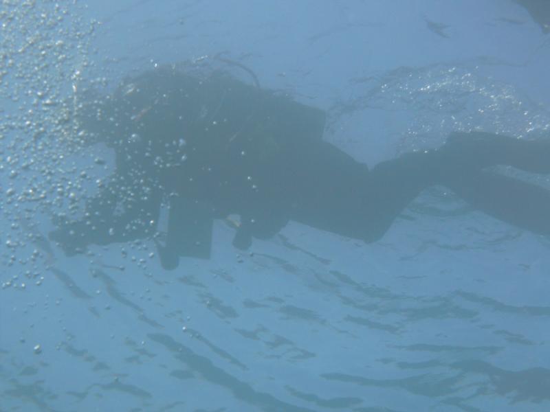 Diver on the Surface