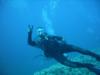 At the Bottom off Oahu, Hawaii