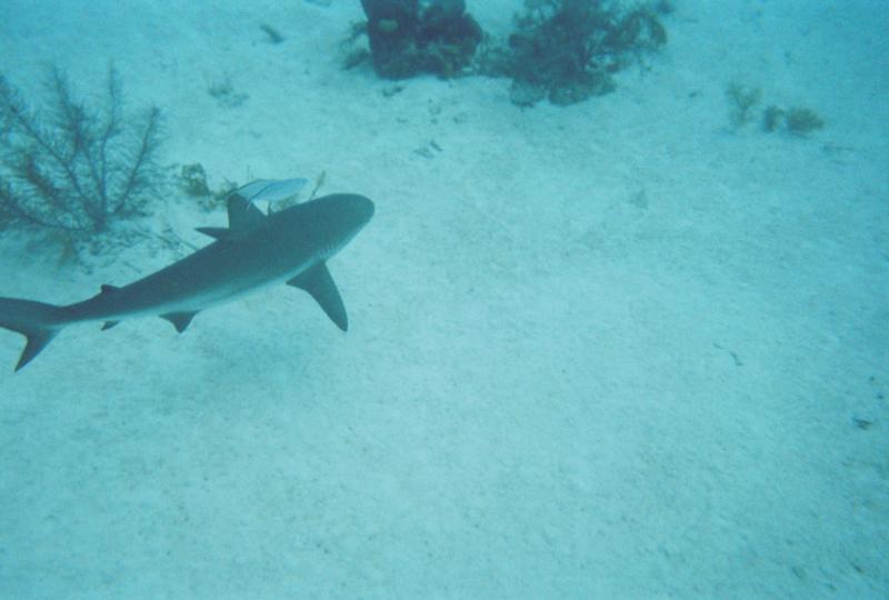 Turks and Caicos