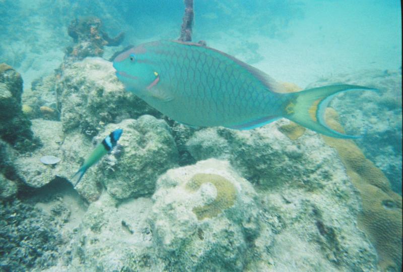 Turks and Caicos