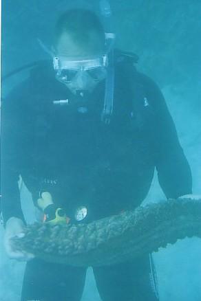 Nino & Giant Cucumber GBR