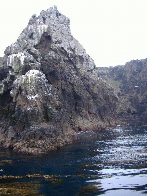 anacapa, channel islands 002