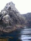 anacapa, channel islands 002