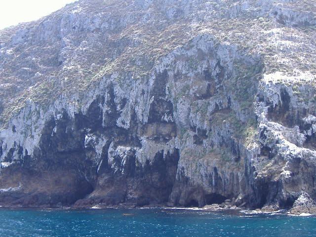 anacapa, channel islands 004