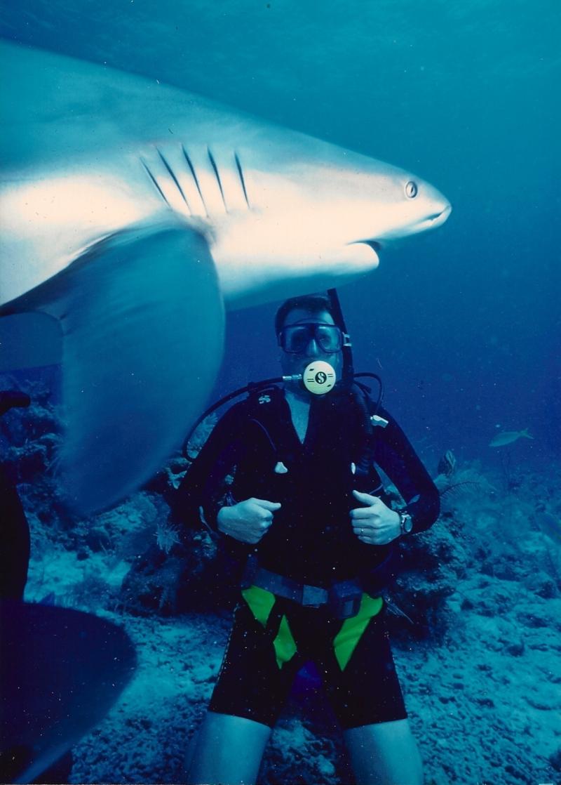 shark dive