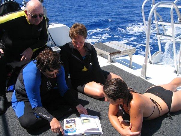 Looking up scorpion fish in Carribean book!