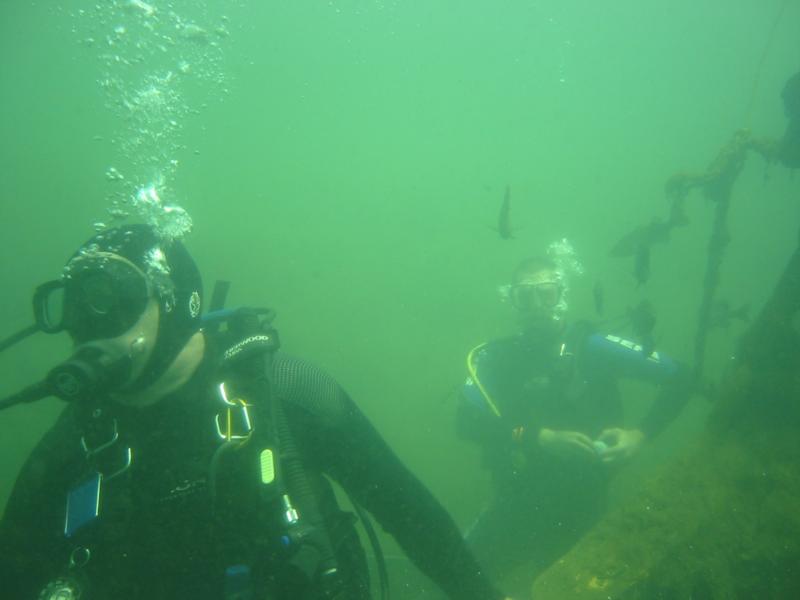 Divers