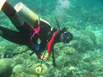 Made - Bali`s First Female Divemaster