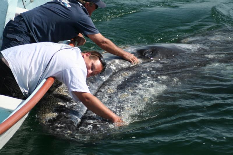 Me and a Gray Whale