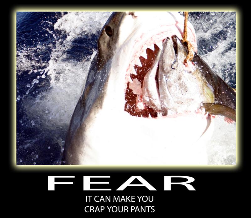 Fear