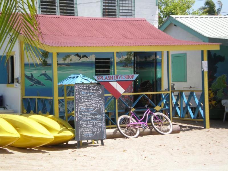 Splash Dive - Placencia, Belize 