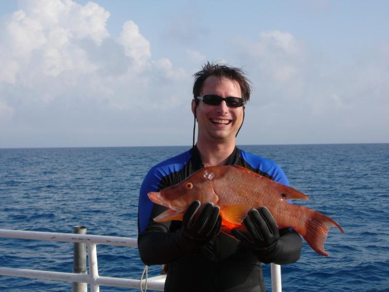 Hogfish for dinner