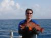 Hogfish for dinner