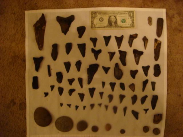 My treasure from my 1st Cooper River Trip
