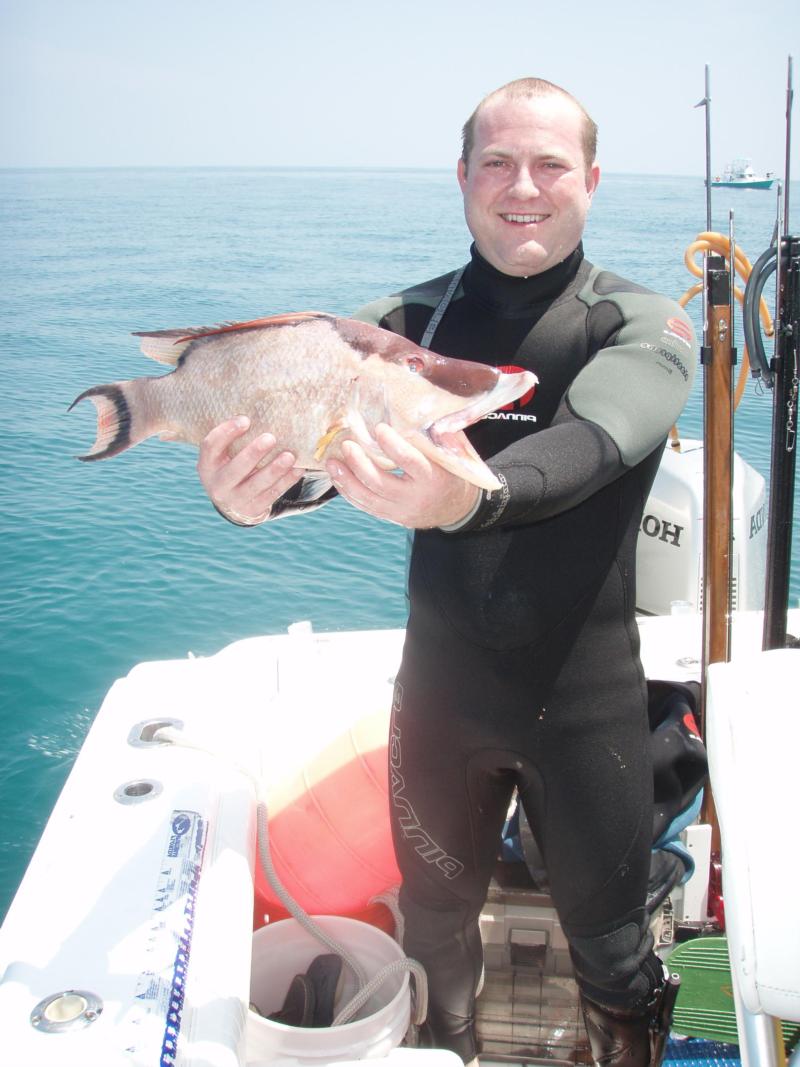 Hog Fish