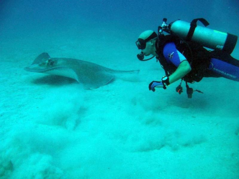 Chasing Rays