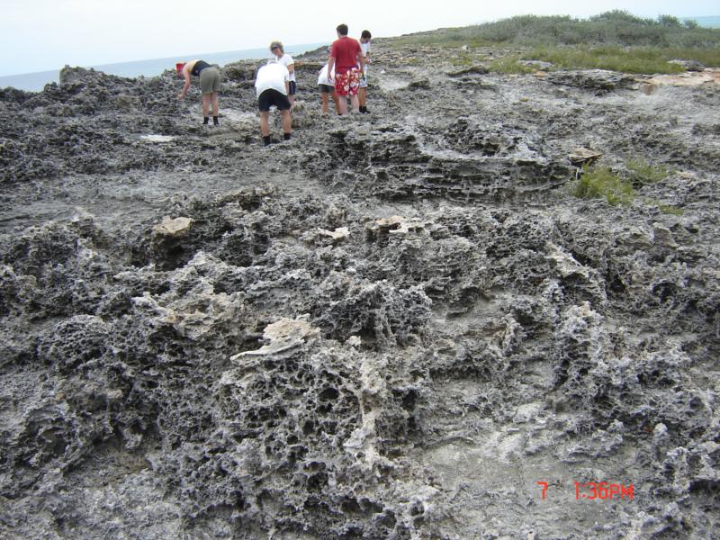 Moon Rock on Cayman Island