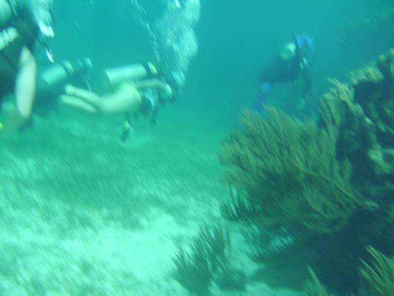 San Salvador dive 1