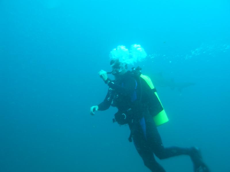 Near the USS Caribsea..Shark? What shark?