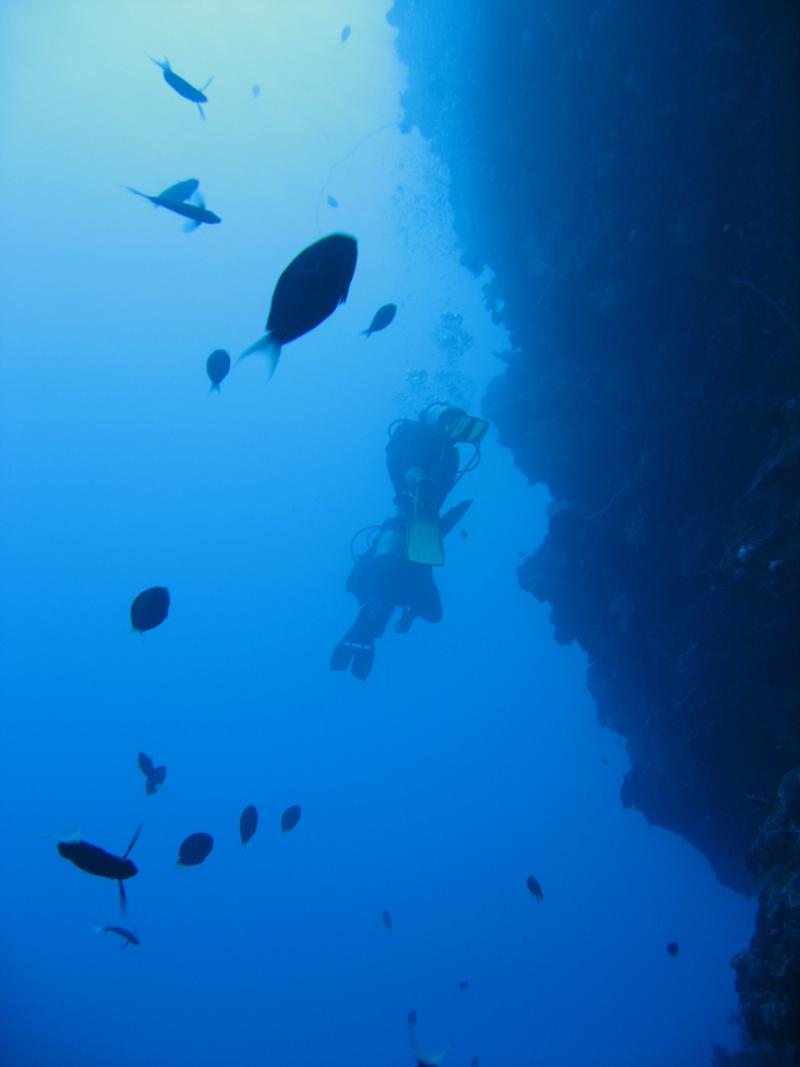 Palau