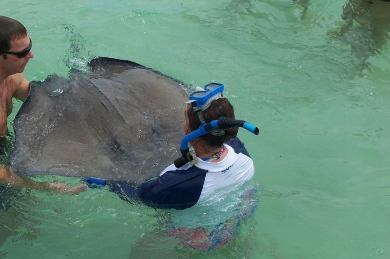 Stingray City, Grand Cayman, BWI