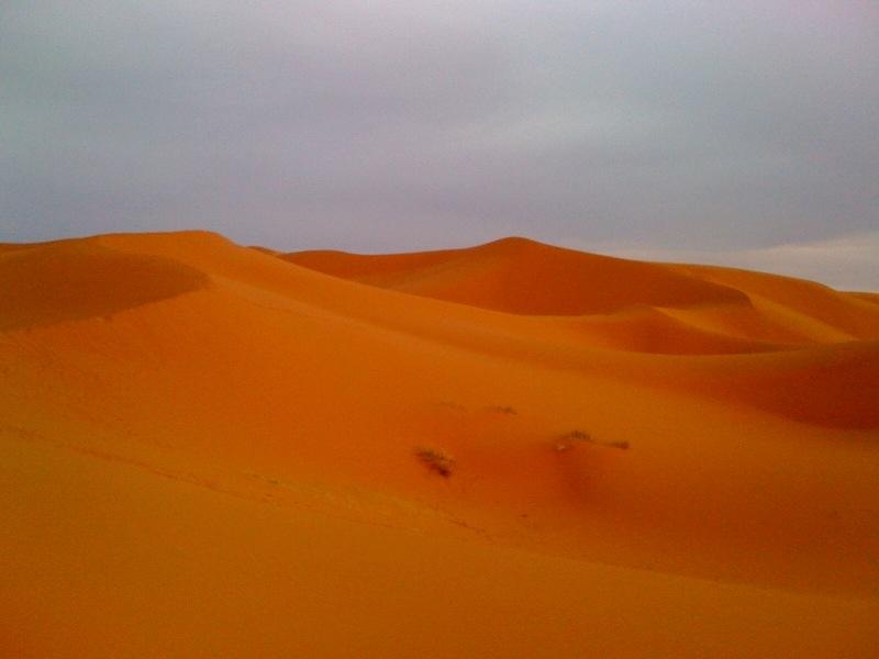 Sahara desert