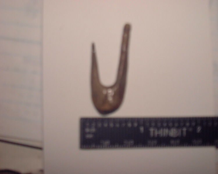 FISH HOOK