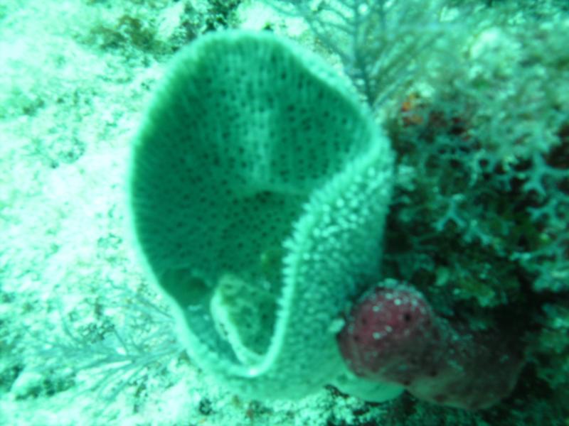 key largo