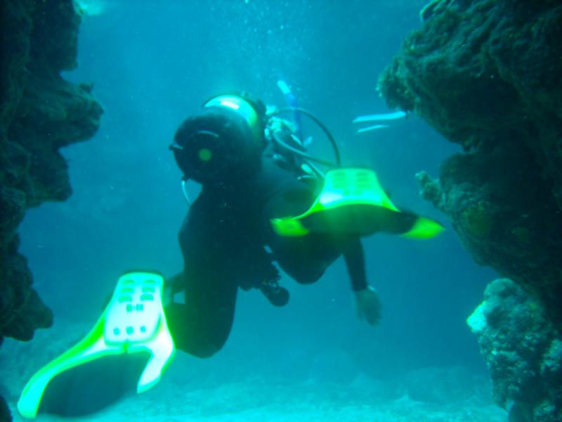 Coral Crevice-Cuba