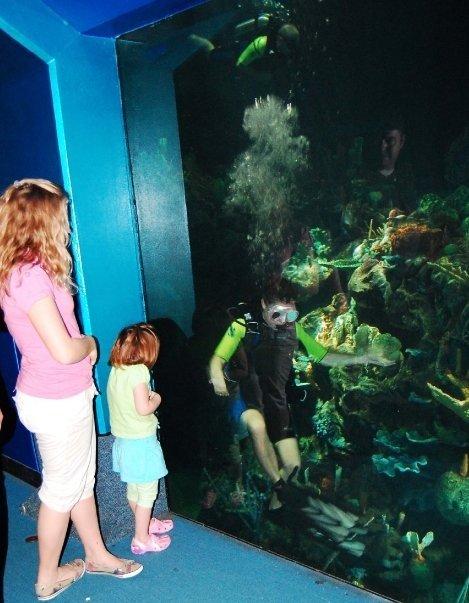 Diving at Epcot’s Living Seas