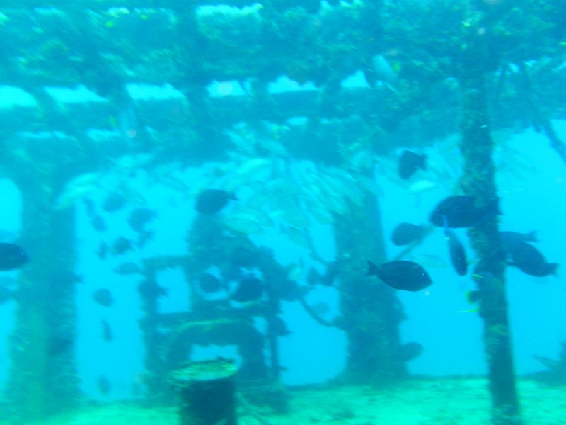 Minesweeper, Mexico