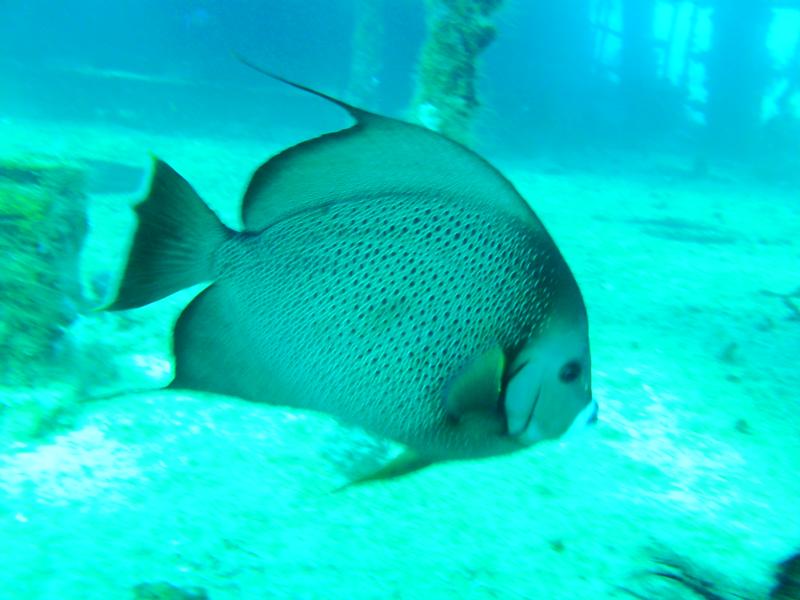 Isla Mujeres, Mexico