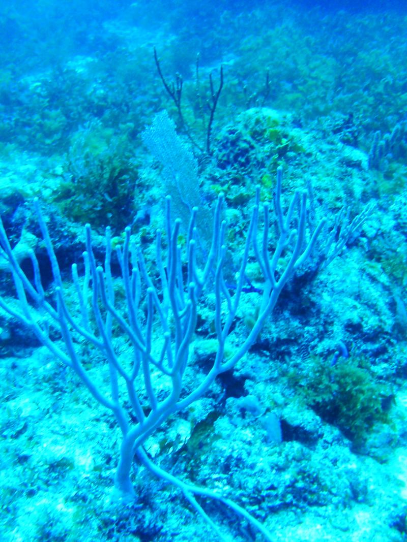 Isla Mujeres, Mexico