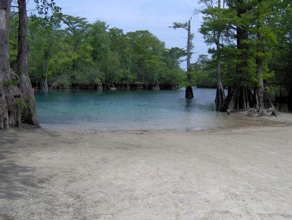 Morrison Springs....one of my favorites