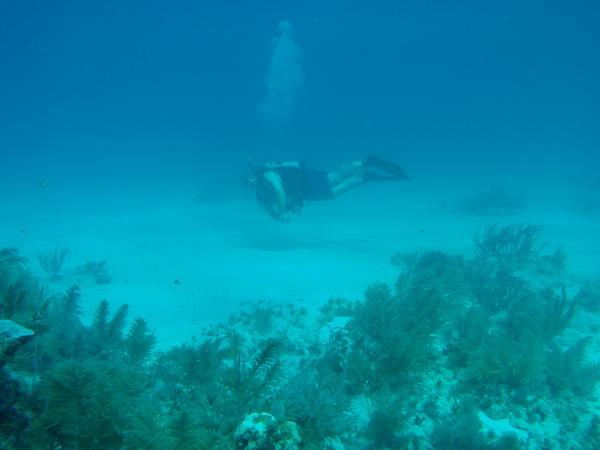 Just swimming
