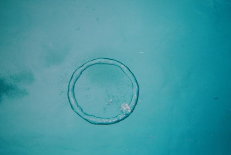 blowing circles at 20ft