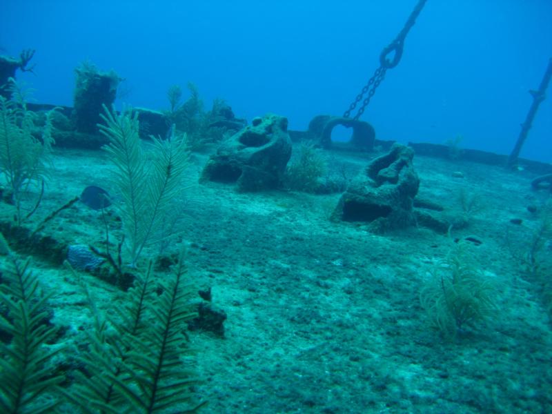Cayman Islands - Oro verde