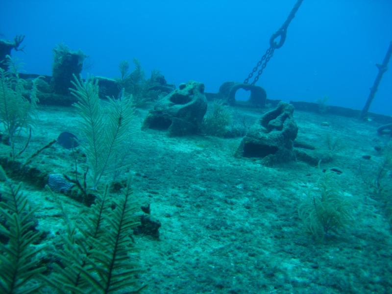 Cayman Islands - Oro verde