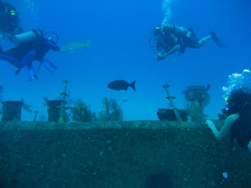 Cayman Islands - Oro verde