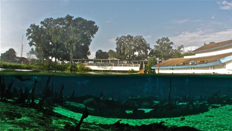 Weeki Wachee