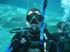 Matt dives Weeki Wachee!